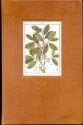 Shamanic Snuffs Or Entheogenic Errhines