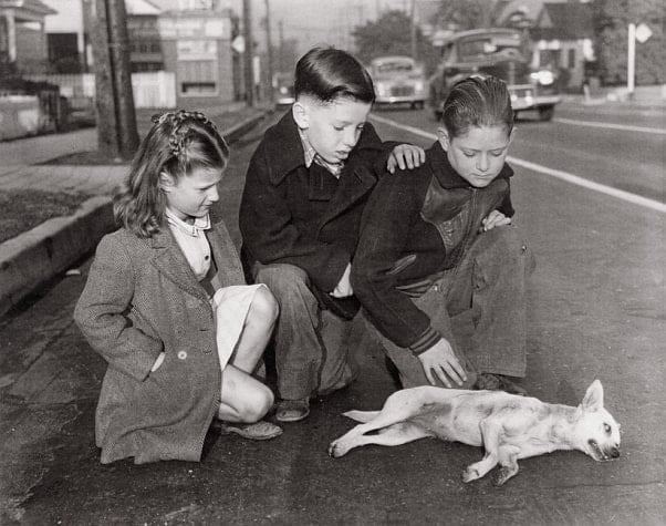 Local News Tabloid Pictures from the Los Angeles Herald Express 1928-1959