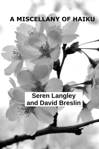 A Miscellany of Haiku: American Edition