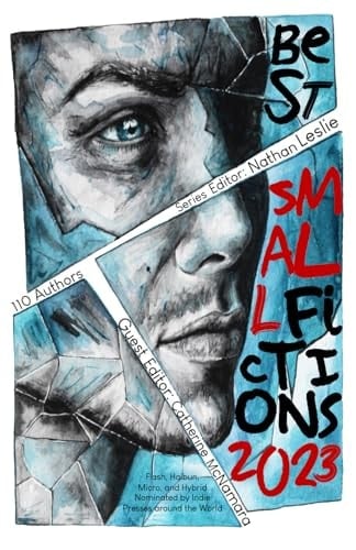 Best Small Fictions 2023