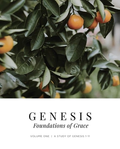 Genesis Vol. 1 - Foundations of Grace