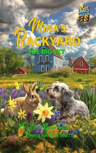 Mina's Backyard - The Big Sky