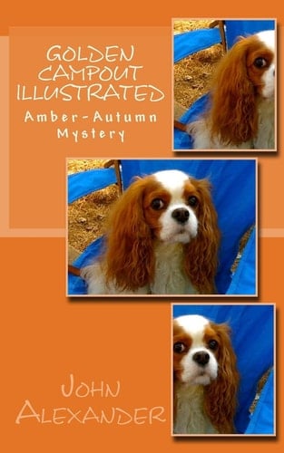 Golden Campout Illustrated Amber-Autumn Mystery