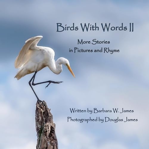 Birds With Words II More Stories in Pictures and Rhyme
