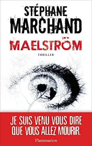 Maelström thriller