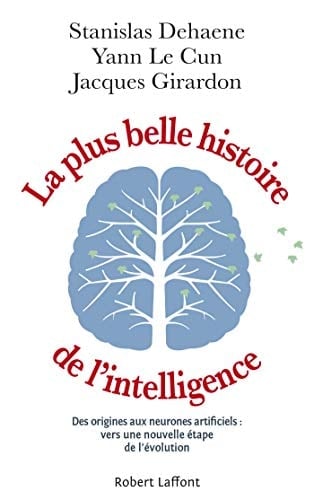 La Plus Belle Histoire de l'intelligence Des origines aux neurones artificiels : vers une nouvelle étape de l'évolution