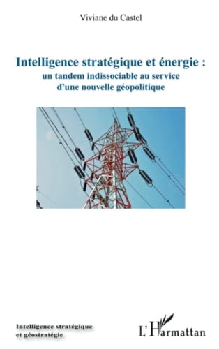 Intelligence stratégique et énergie un tandem indissociable au service d'une nouvelle géopolitique