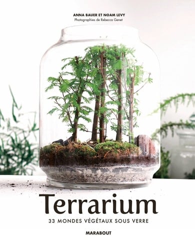 Terrariums Les mondes végétaux sous verre
