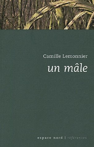Un mâle roman