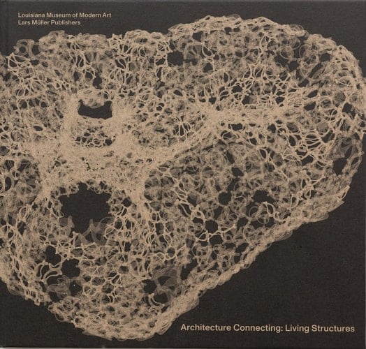 Architecture Connecting Living Structures