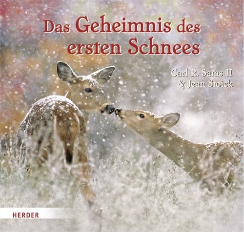 Das Geheimnis des ersten Schnees ein fotografisches Märchen