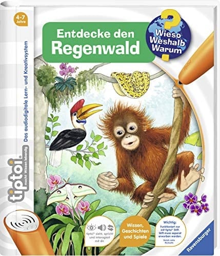 Entdecke den Regenwald
