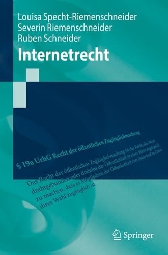 Internetrecht (Springer-Lehrbuch) (German Edition)