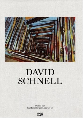 David Schnell on the occasion of the exhibition Streifzüge : Parasol unit foundation for contemporary art 21 June-29 July 2006