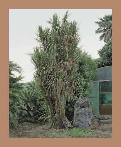 Jeju Island