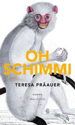 Oh Schimmi Roman