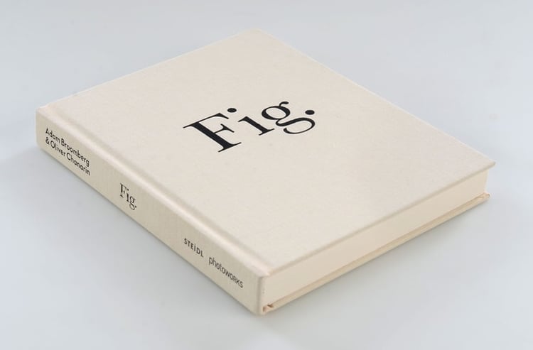 Fig