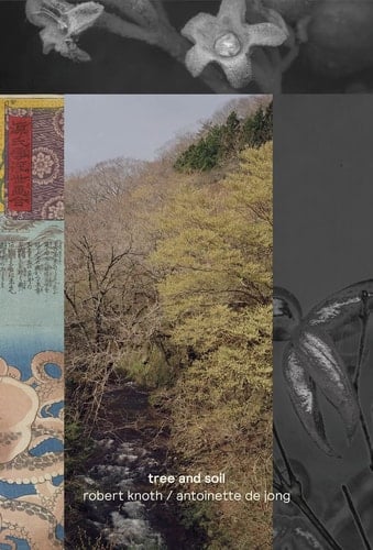 Tree and Soil