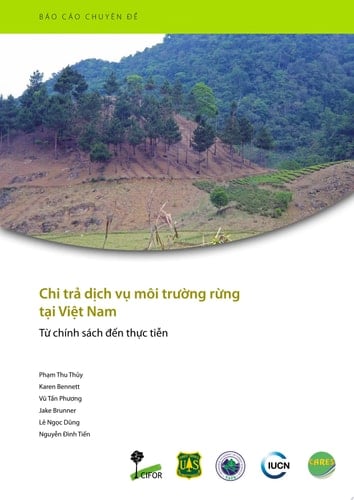 Chi trả dịch vụ môi trường rừng tại Việt Nam Từ chính sách đến thực tiễn