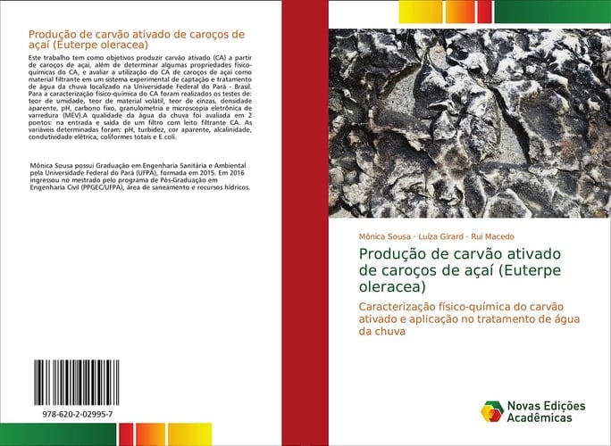Produção de carvão ativado de caroços de açaí (Euterpe oleracea): Caracterização físico-química do carvão ativado e aplicação no tratamento de água da chuva (Portuguese Edition)