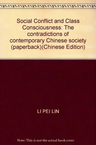 Social Conflict and Class Consciousness: The contradictions of contemporary Chinese society (paperback)(Chinese Edition)