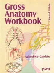 Gross Anatomy Workbook