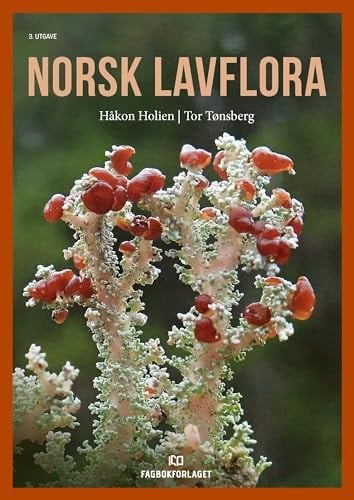 Norsk lavflora