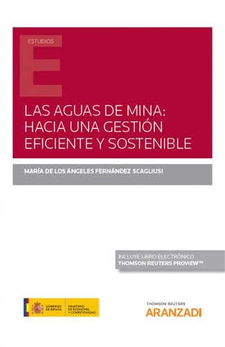 Las aguas de mina: hacia una gestión eficiente y sostenible (Papel + e-book)