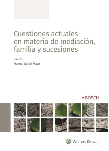 Cuestiones actuales en materia de mediación, familia y sucesiones