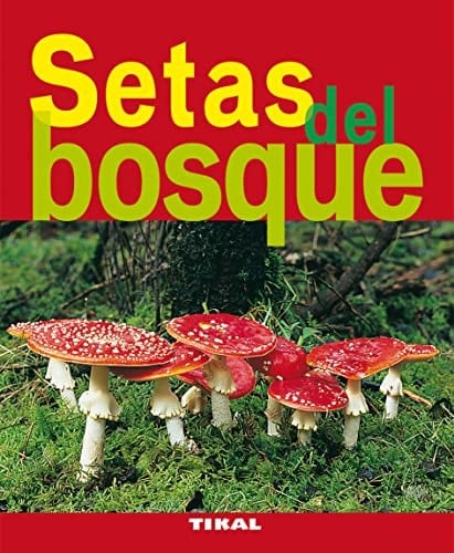 Setas del bosque (Jardinería y plantas)