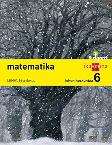 Matematika, 6 Lehen Hezkuntza Bizigarri