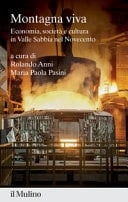 Montagna viva economia, società e cultura in Valle Sabbia nel Novecento