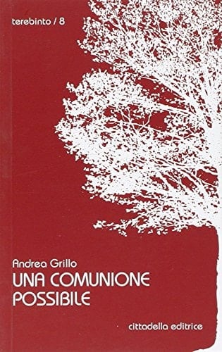 Una comunione possibile : Sinodo per famiglie felici e per famiglie ferite