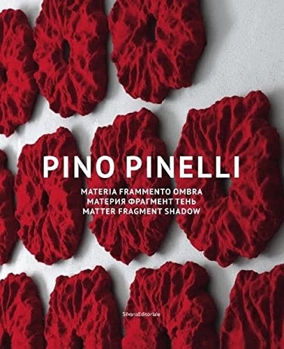 Pino Pinelli materia frammento ombra