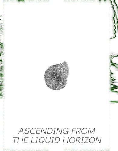 Ascending from the Liquid Horizon. Contemporary Visions of a Changing World. Ediz. Illustrata