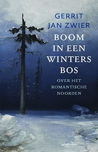 Boom in een winters bos over het romantische noorden