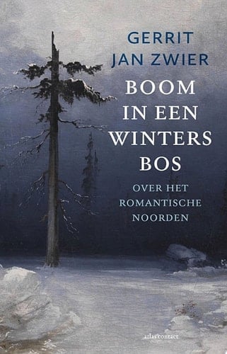 Boom in een winters bos over het romantische noorden