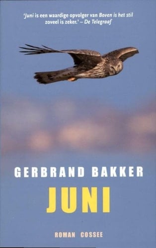 Juni roman