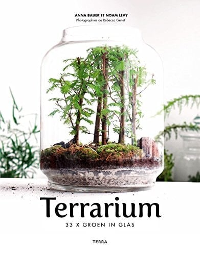 Terrarium 33 x groen in glas