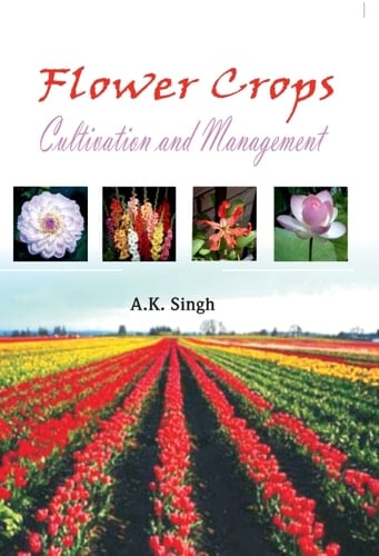 Flower Crops: Cultivation and Management