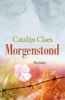 Morgenstond roman