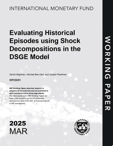 Evaluating Historical Episodes Using Shock Decompositions in the DSGE Model