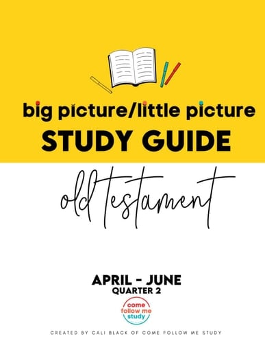 Study Guide of Old Testmanet Big Picture/Little Picture Apr-Jun: Helping busy latter-day saints learn the context for scripture reading