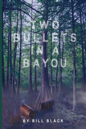 Two Bullets in a Bayou - An Erica Banks Suspense Thriller