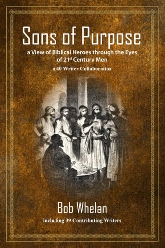 Sons of Purpose, a View of Biblical Heroes through the Eyes of 21st Century Men: a 40 Writer Collaboration