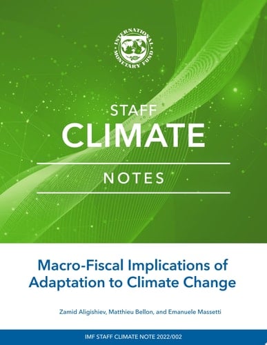 Macro-Fiscal Implications of Adaptation to Climate Change