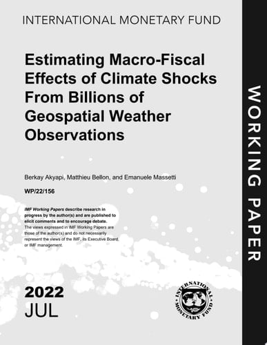 Estimating Macro-Fiscal Effects of Climate Shocks From Billions of Geospatial Weather Observations