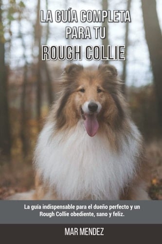 La Guía Completa Para Tu Rough Collie: La guía indispensable para el dueño perfecto y un Rough Collie obediente, sano y feliz. (Spanish Edition)