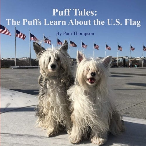 Puff Tales The Puffs Learn about the U.S. Flag