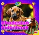 Rhodesian Ridgeback